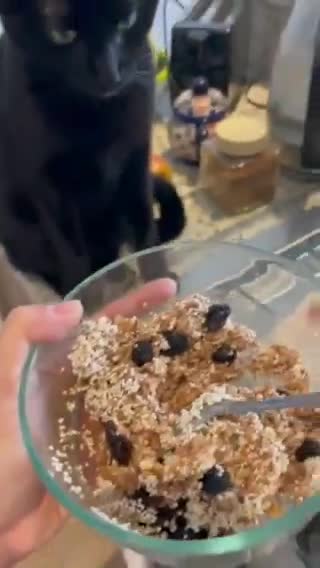 Foto del paso 2 de la receta: Trufas de avena