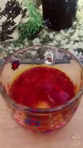 عکس مرحله 2 از دستور شربت زعفرون