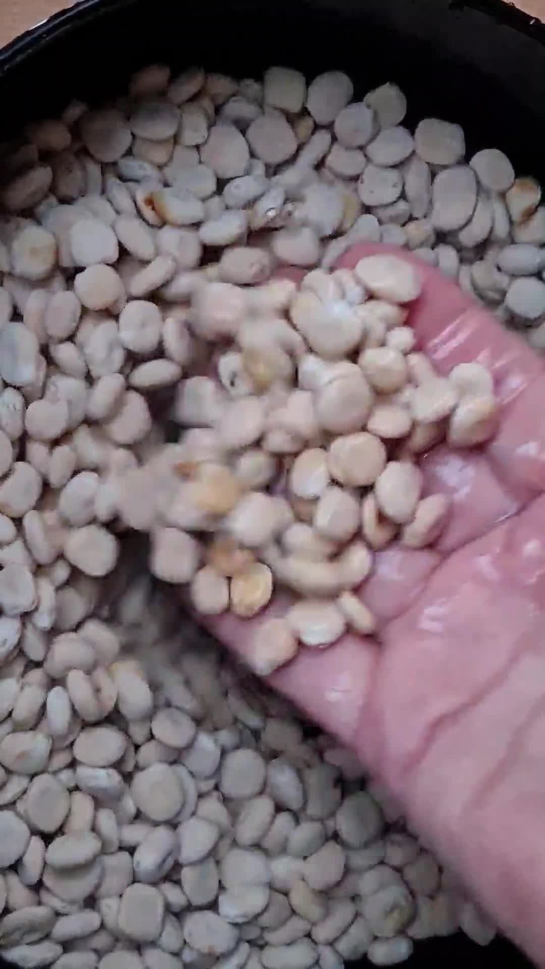 Foto del paso 2 de la receta: Lupines 🌱 Altramuces 🌱 Chochos 🌱 Tremosos 🌱 Tremoços 🌱 Frijoles de altramuz 🌱 Entremozos 🌱