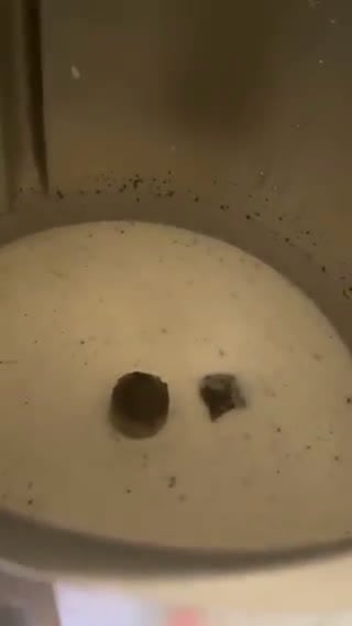 Une image de l'étape 1 de Pannacotta caramel beurre salé.