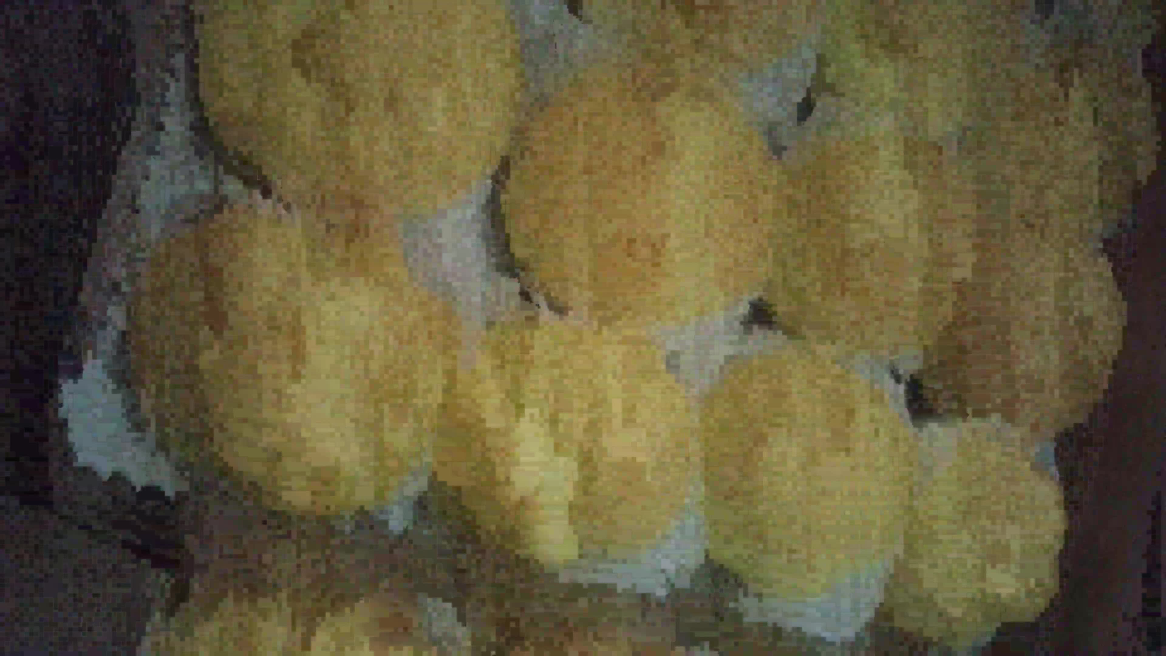 Foto langkah ke 6 dari resep (354) Kulit Soes Empuk dan Kopong.