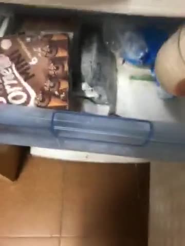 Foto del paso 4 de la receta: Mouse de llimona