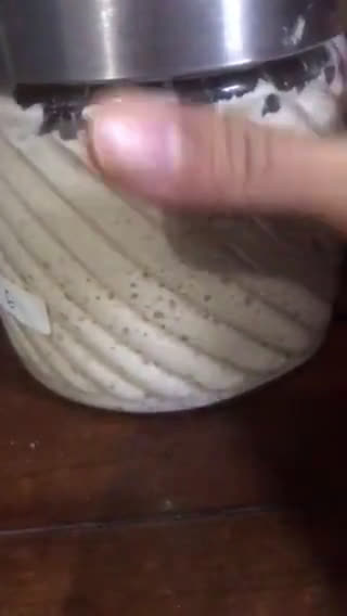Foto langkah ke 7 dari resep Ragi alami (starter untuk sourdough bread).