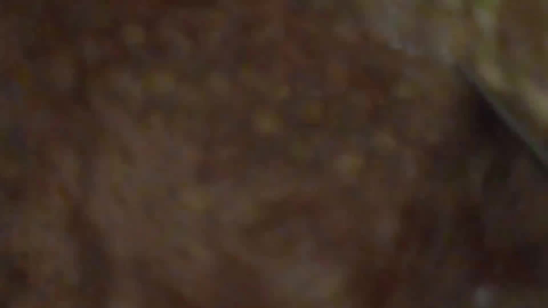 صورة لخطوة 2 من وصفة عدس اخضر 🤤😋