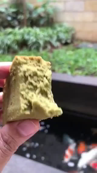 Foto langkah ke 6 dari resep Matcha Sponge Cake.