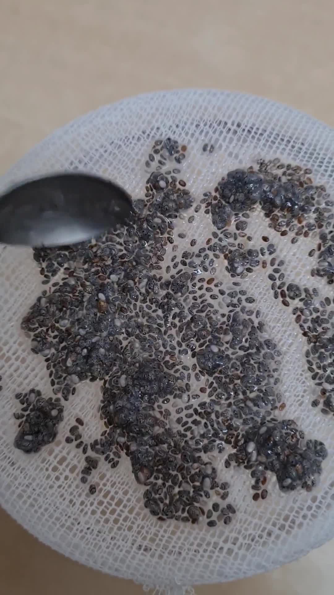 Foto del paso 2 de la receta: Brotes de chía 🌱 Especial para niños, una propuesta saludable para ver crecer, cosechar y saborear