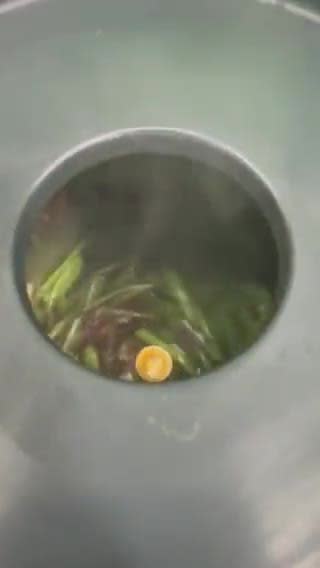Gambar langkah 3 resipi Kangkung Goreng Kicap.