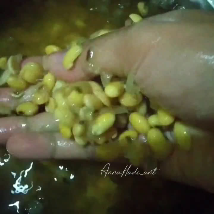 Foto langkah ke 4 dari resep Tempe homemade.
