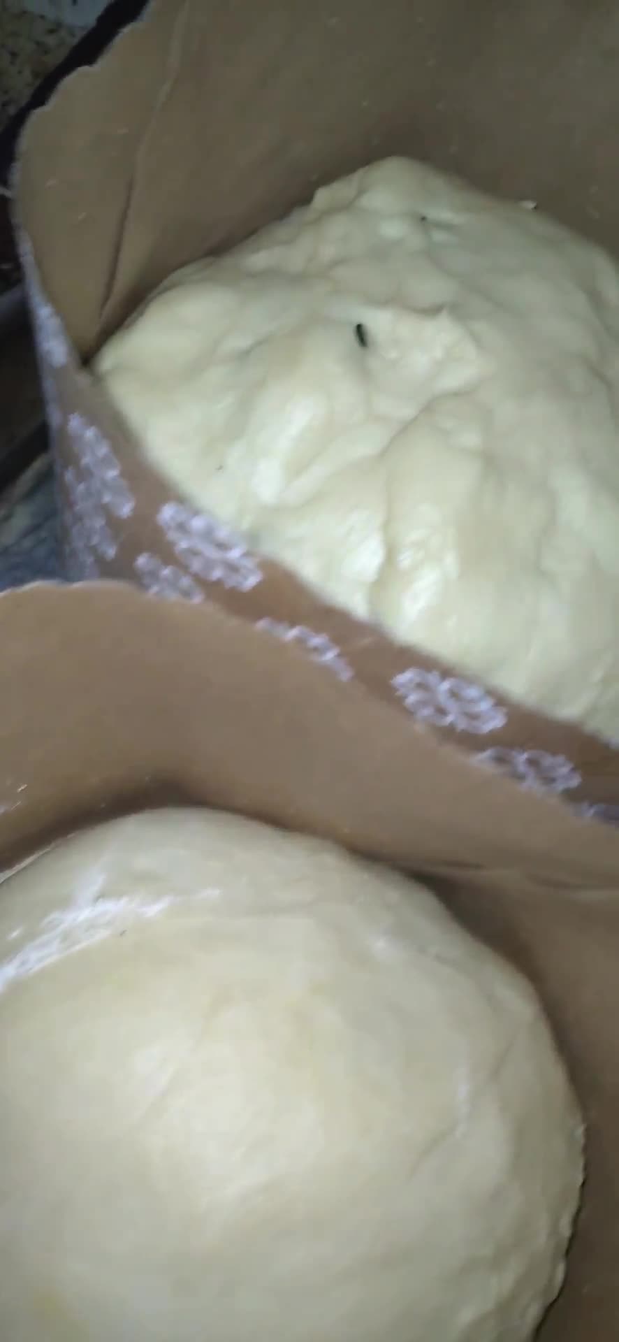 Foto del paso 7 de la receta: Pan dulce!!🎅🎅