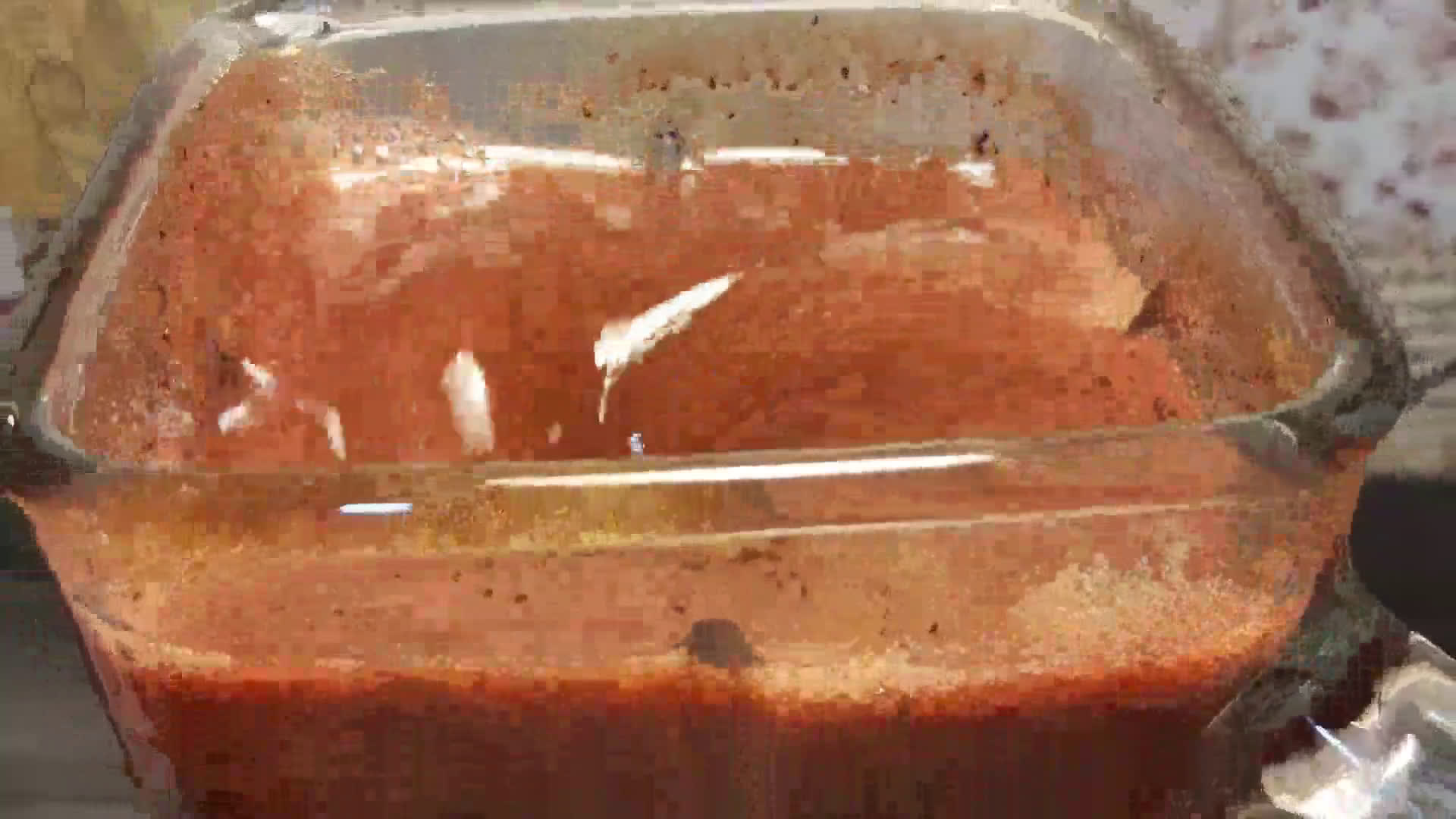 Foto del paso 2 de la receta: ✅El jugo de agraz y algunas propiedades