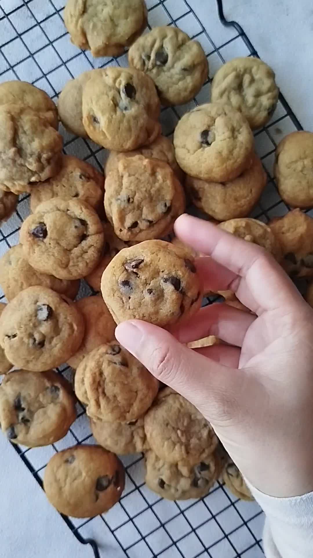 Foto langkah ke 7 dari resep Mini Chocolate Chips Cookies ala Famous Amos.