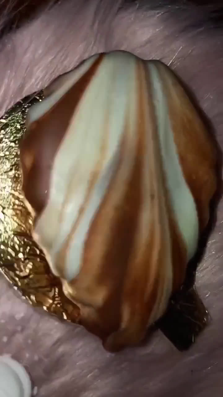 صورة لخطوة 16 من وصفة حلوة الرخام 🥟🍫🥟