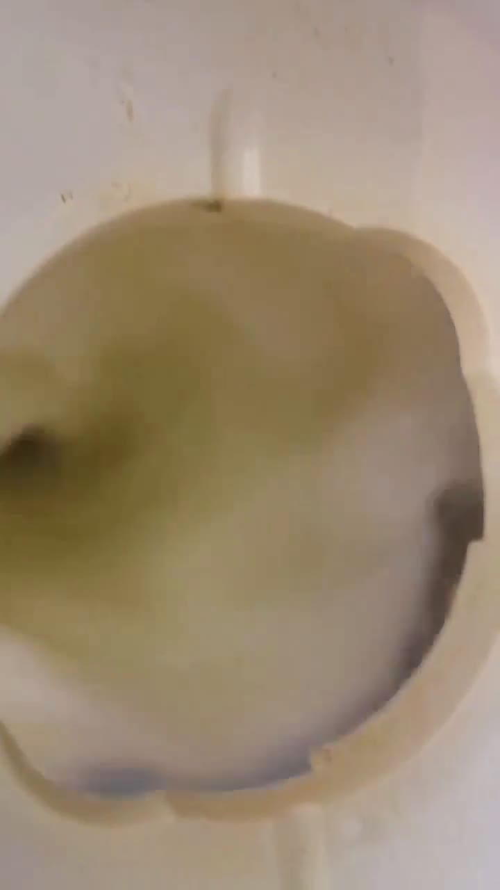 Une image de l'étape 3 de Jus de raisin de Sicile menthe corse 🍇.