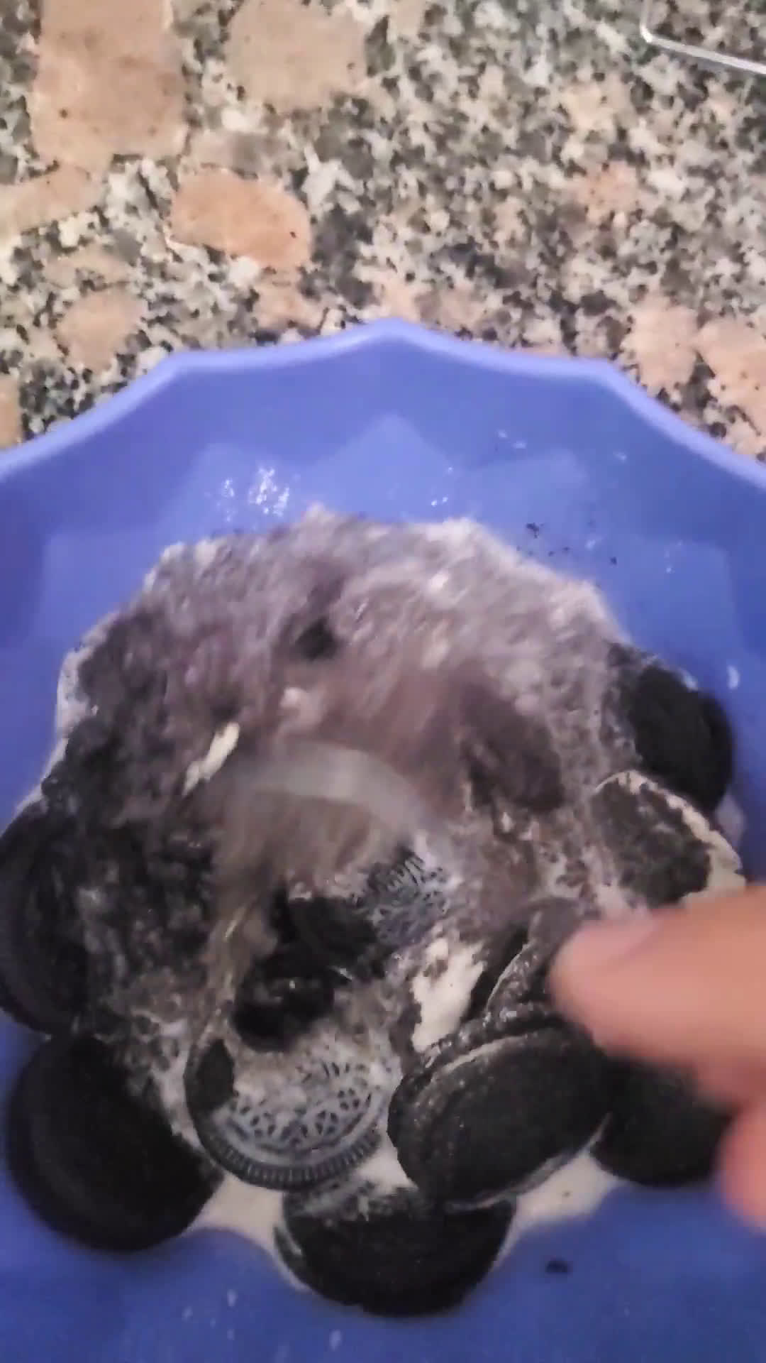 Foto del paso 3 de la receta: Torta oreo