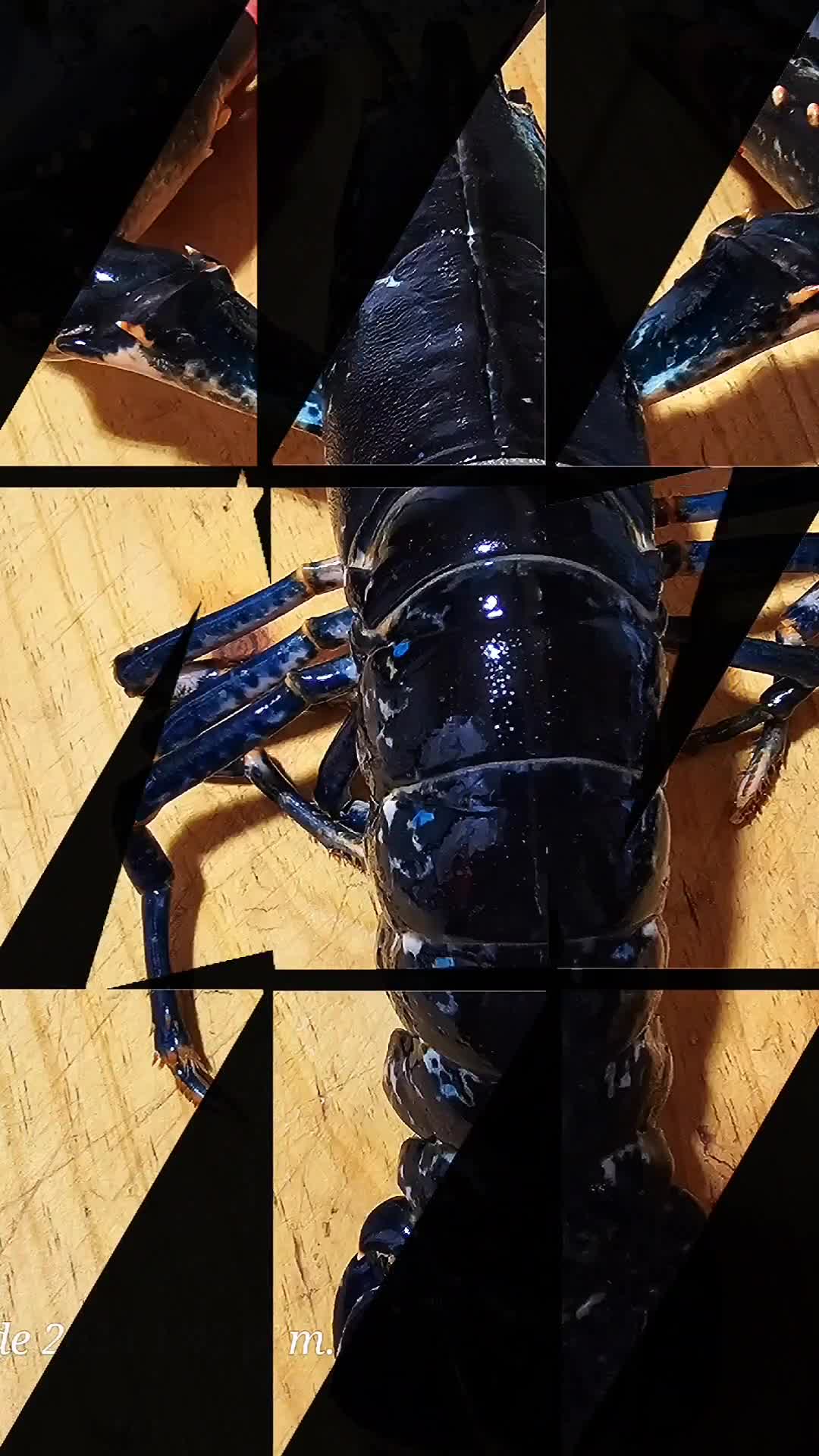 Foto del paso 15 de la receta: Arroz con bogavante y langostinos