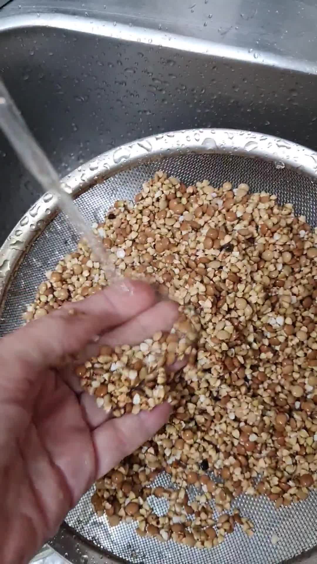 Foto del paso 1 de la receta: Pan de granos de trigo sarraceno y lentejas 🌱 Pan sin harina, sin levadura 🌱 larga fermentación 🌱