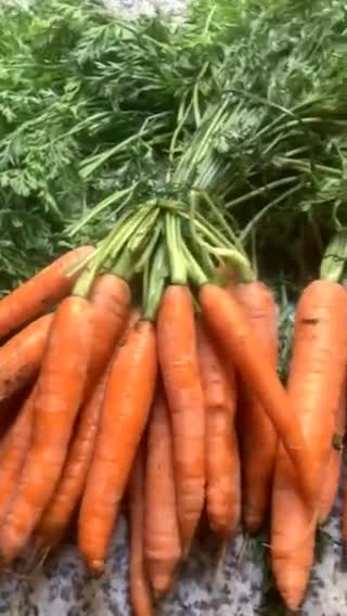 Une image de l'étape 10 de Calamars 🦑 au festival des herbes 🌿 aromatiques🧜 à la marseillaise.