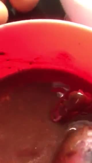 Foto del paso 6 de la receta: La tarta de chocolate “reina de Saba”, se va al cumple de Inés