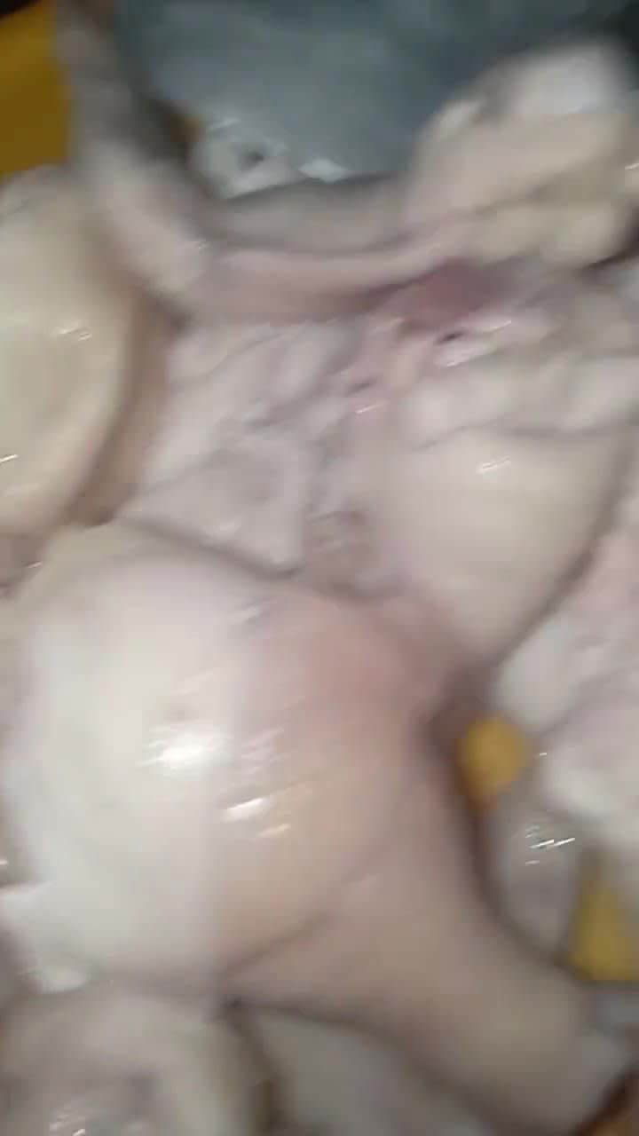 Foto langkah ke 2 dari resep Ayam ungkep Bumbu Simple.